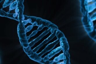 At-Home DNA Test Results: A Practical Guide to Health, Ancestry, and Privacy
