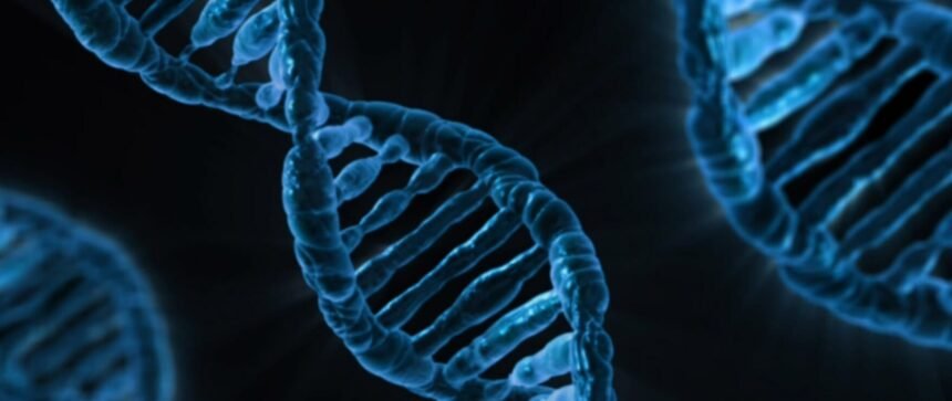 At-Home DNA Test Results: A Practical Guide to Health, Ancestry, and Privacy